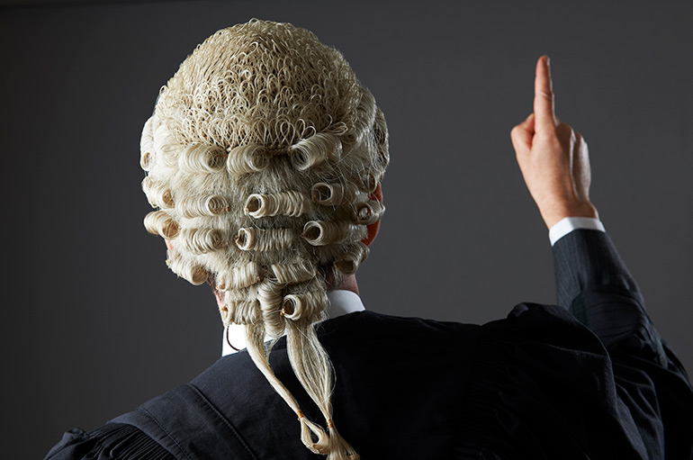 What Are Barristers Wigs Made From? The Guide to Leagl Wigs | Evess